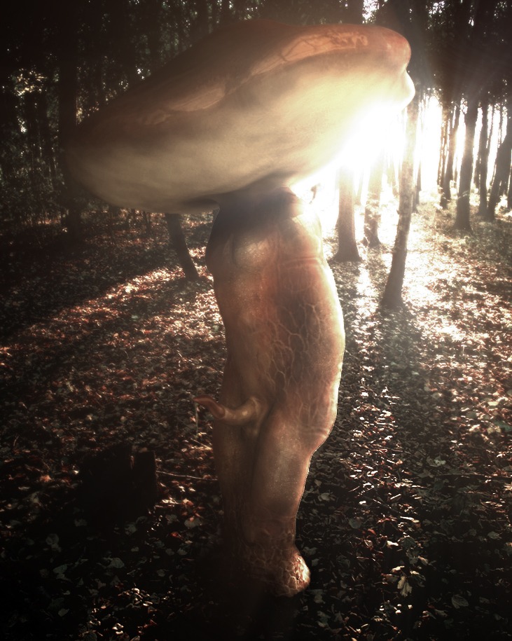anthro anthrofied bodily_fluids cum detailed_background e621 elemental_creature erection forest fungi_fauna fungus gedinixan_(artist) genital_fluids genitals light male mushroom nature nightmare_fuel nude outside penis plant precum realistic shadow solo sunlight surrealism tapering_penis tree what what_has_science_done