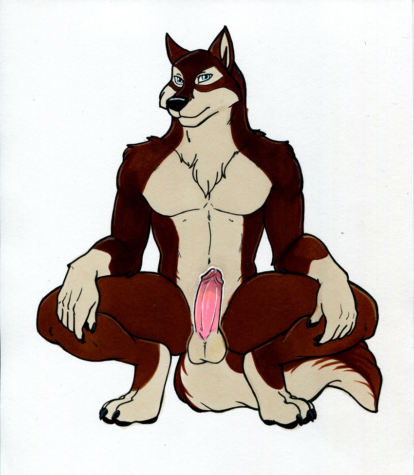 2014 abs anthro anthrofied balls balto_(series) barefoot biped black_nose blue_eyes brown_body brown_fur canid canine canis claws crouching e621 erection feet front_view fur genitals humanoid_genitalia humanoid_penis looking_at_viewer male mammal muscular muscular_anthro muscular_male nude paws pecs penis pink_penis pinup pose presenting presenting_penis shaft_divide simple_background sitting solo spacecadet spread_legs spreading taku_(balto) universal_studios white_background wolf
