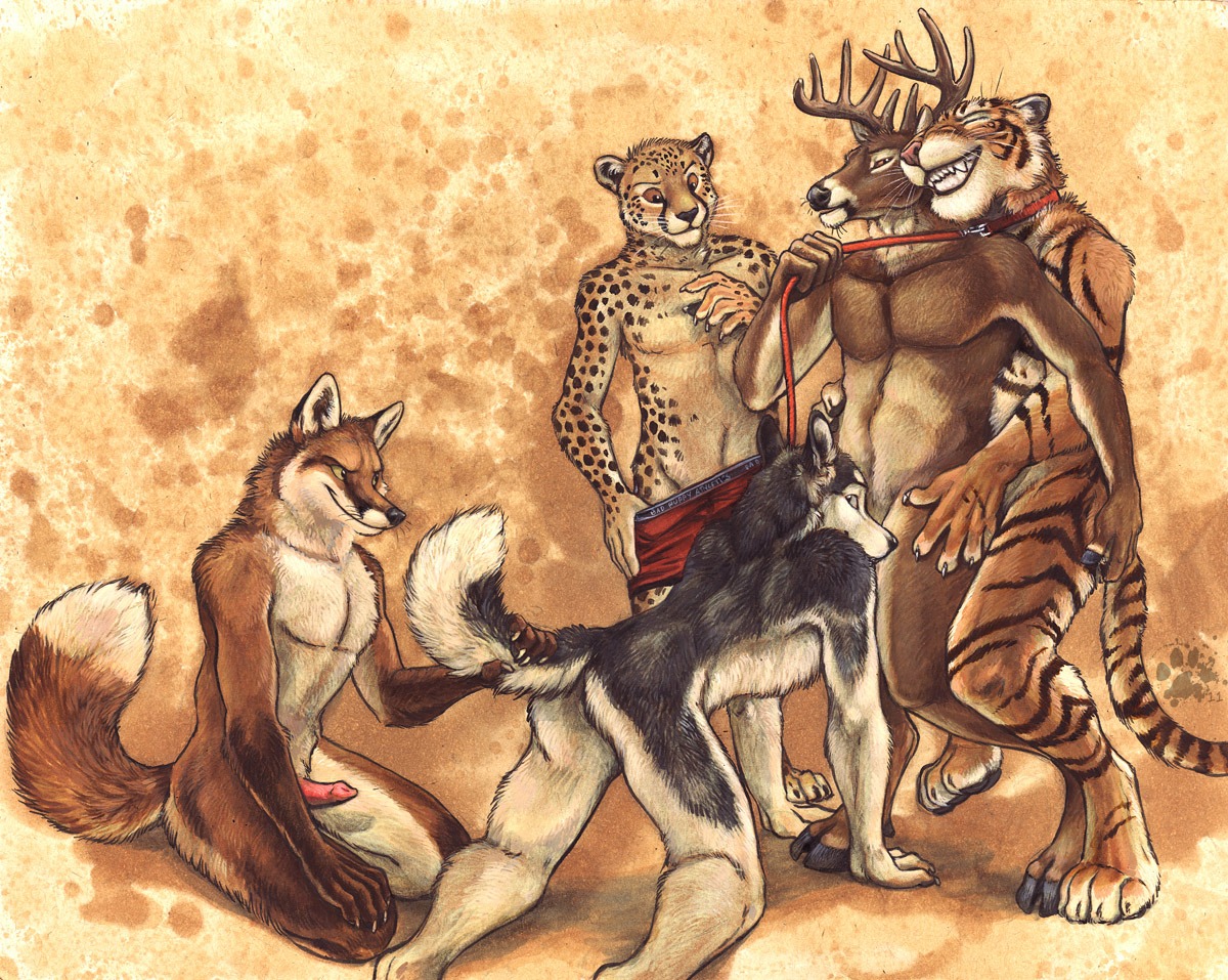 2011 5_fingers all_fours anal anal_penetration animal_genitalia animal_penis anthro anthro_on_anthro antlers biped blotch bottomwear brown_body brown_fur canid canine canine_genitalia canine_penis canis cheetah claws clothing collar colored countershade_face countershade_fur countershade_tail countershade_torso countershading deer digitigrade dipstick_tail domestic_dog e621 erection eyes_closed fangs feet felid feline fingers fluffy fluffy_tail fox fur genitals green_eyes group group_sex hindpaw hooves horn husky interspecies kneeling leash leash_pull leashed_collar male male/male male_penetrated male_penetrating male_penetrating_male mammal markings nordic_sled_dog nude orange_body orange_fur orgy pantherine paws penetration penis red_fox scratches_volume_5 sex shorts spitz spots standing striped_body striped_fur stripes tail tail_markings teeth tiger traditional_media_(artwork) true_fox underwear undressing whiskers