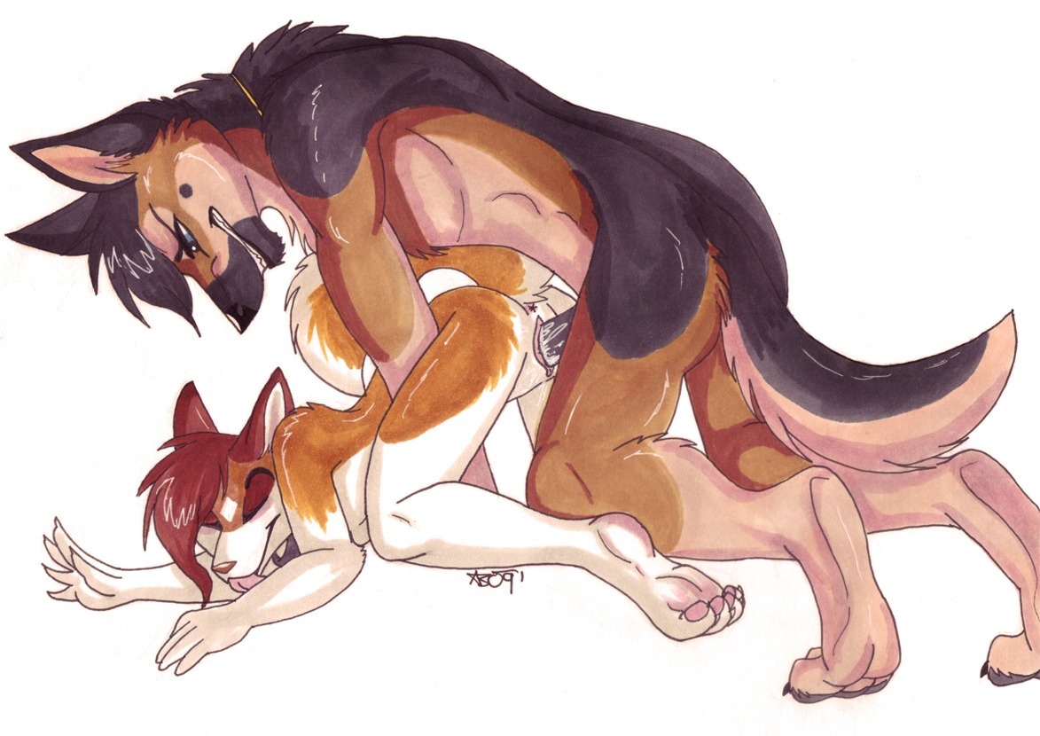 2009 all_fours anthro anus ass_up bodily_fluids canid canine canis celestialwolfen clitoris cum cum_in_vagina cum_inside doggystyle domestic_dog duo e621 erection eyes_closed female female_penetrated from_behind_position genital_fluids genitals husky male male/female male_penetrating male_penetrating_female mammal nordic_sled_dog nude penetration penile penile_penetration penis penis_in_vagina raised_tail sex spitz tail tongue vaginal vaginal_penetration vulva