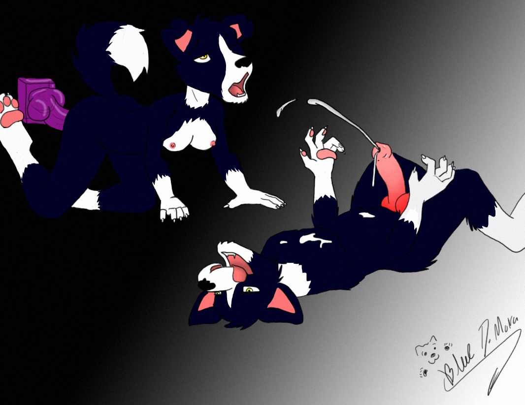 all_fours ambiguous_penetration animal_genitalia animal_penis anthro bluedmoka bodily_fluids border_collie brother_(lore) canid canine canine_genitalia canine_penis canis colin_ehrlich_fellner collie cum cum_drip cum_on_chest cumshot dildo domestic_dog dripping duo e621 ears_outwards ejaculation erection female floppy_ears folded_ears genital_fluids genitals hands-free herding_dog katherine_ehrlich_fellner knot looking_pleasured lying male mammal nude on_back open_mouth orgasm pastoral_dog penetration penis pivoted_ears sex_toy sheepdog sibling_(lore) sister_(lore) tongue tongue_out