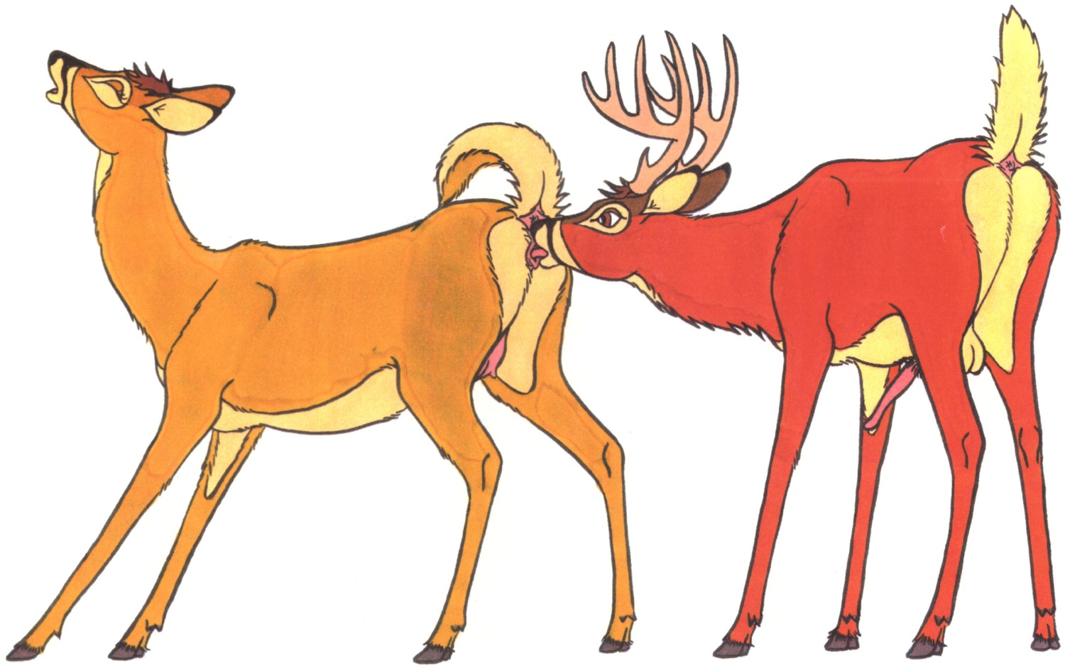 anatomically_correct anatomically_correct_genitalia anatomically_correct_penis anatomically_correct_vulva animal_genitalia animal_penis animal_vulva anus backsack balls brown_body brown_eyes brown_fur butt cervine_genitalia cervine_penis cervine_vulva cunnilingus deer duo e621 ears_back erection eyes_closed female feral fur genitals hi_res hooves lemon_testicles licking male male/female mammal multicolored_body multicolored_fur new_world_deer open_mouth oral penis pivoted_ears presenting presenting_hindquarters raised_tail red_body red_fur sex simple_background tail tan_body tan_fur teats tim_o'rourke tongue tongue_out toony traditional_media_(artwork) two_tone_body two_tone_fur udders vaginal vulva white-tailed_deer white_background