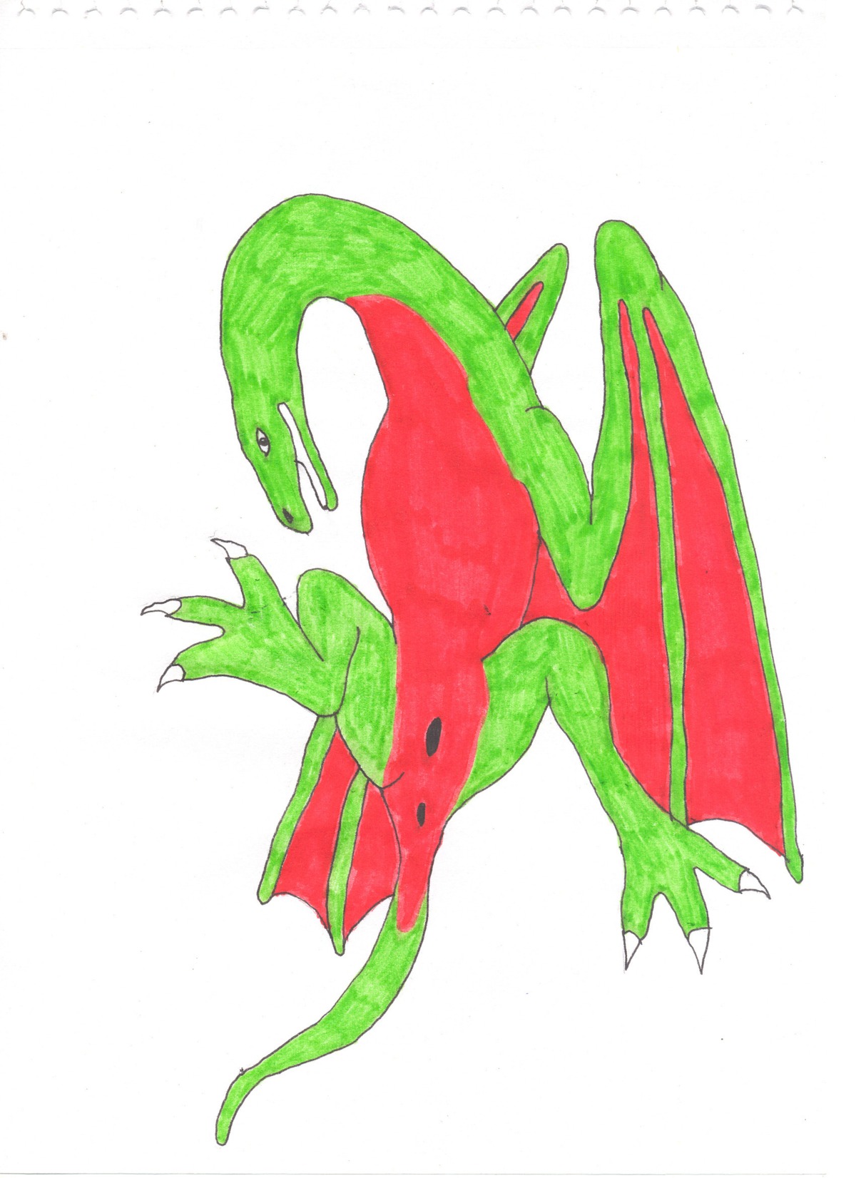 anus chris-sowden e621 female feral genitals grandfathered_content hi_res membrane_(anatomy) membranous_wings reptile scalie simple_background solo tail traditional_media_(artwork) vulva white_background wings