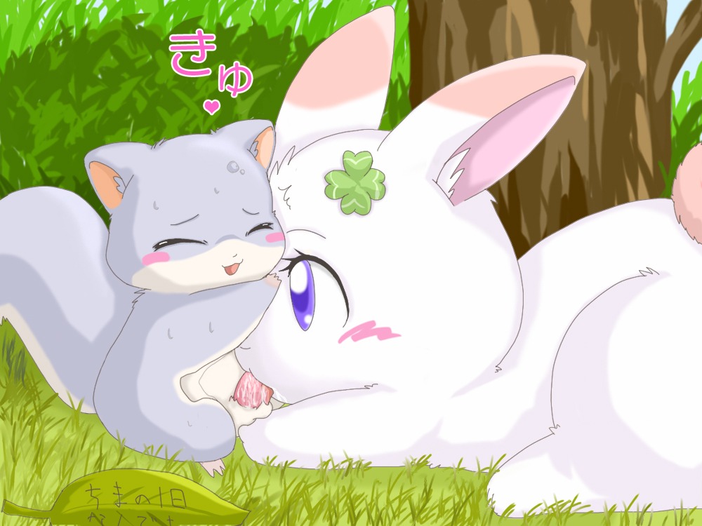 chima fellatio female happy_happy_clover rule34 suvaru tagme