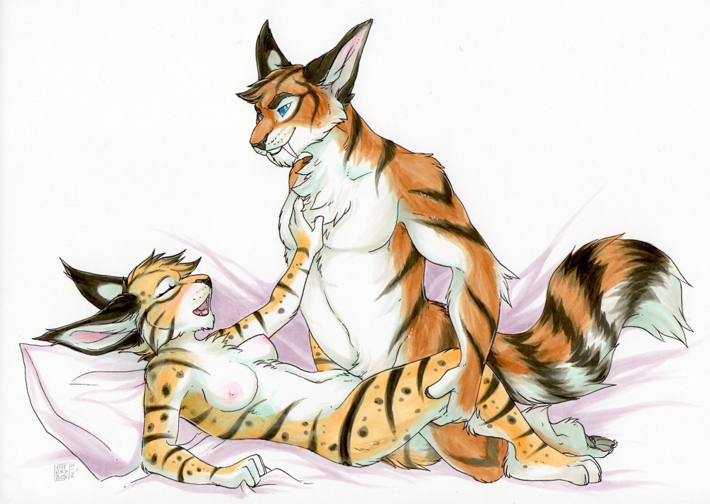 ambiguous_penetration anthro bed black_body black_fur blue_eyes blush breasts brown_body brown_fur chest_tuft claws conditional_dnp duo e621 eyes_closed fangs feet felid feline female female_penetrated from_front_position fur furniture garnetto hand_on_chest happy happy_sex hindpaw kneeling lying lynx male male/female male_penetrating male_penetrating_female mammal multicolored_body multicolored_fur nipples nude on_back paws penetration prehistoric_species saber-toothed_tiger sabertooth_(anatomy) sex sketchkat_(character) spread_legs spreading tail tan_body tan_fur tasteful teeth tiggie_(character) toe_claws tuft white_body white_fur