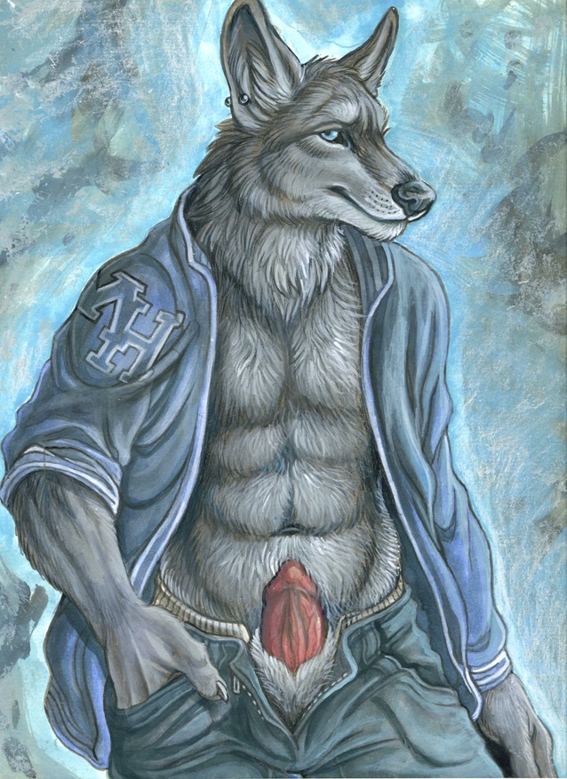 2010 abs animal_genitalia animal_penis anthro black_nose blue_eyes bottomwear bottomwear_down bulge canid canine canine_genitalia canine_penis canis clothed clothing e621 ear_piercing fur genitals grey_body grey_fur jacket jock letterman_jacket looking_at_viewer male mammal muscular muscular_anthro muscular_male navel pants pants_down partially_clothed penis penis_tip piercing red_penis reis rukis sheath simple_background solo topwear vein wolf