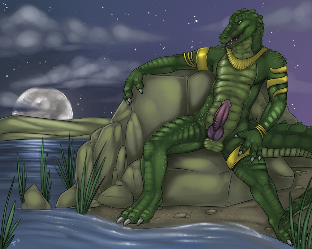 3_toes alligator alligatorid anthro balls boulder cloud conditional_dnp crocodilian deity e621 egyptian_mythology erection feet genitals green_body green_scales hindpaw jewelry knot looking_at_viewer male middle_eastern_mythology moon mythology night non-mammal_balls nude open_mouth outside paws penis reptile rock scales scalie sky sobek solo spread_legs spreading star starry_sky tail toes tojo_the_thief water