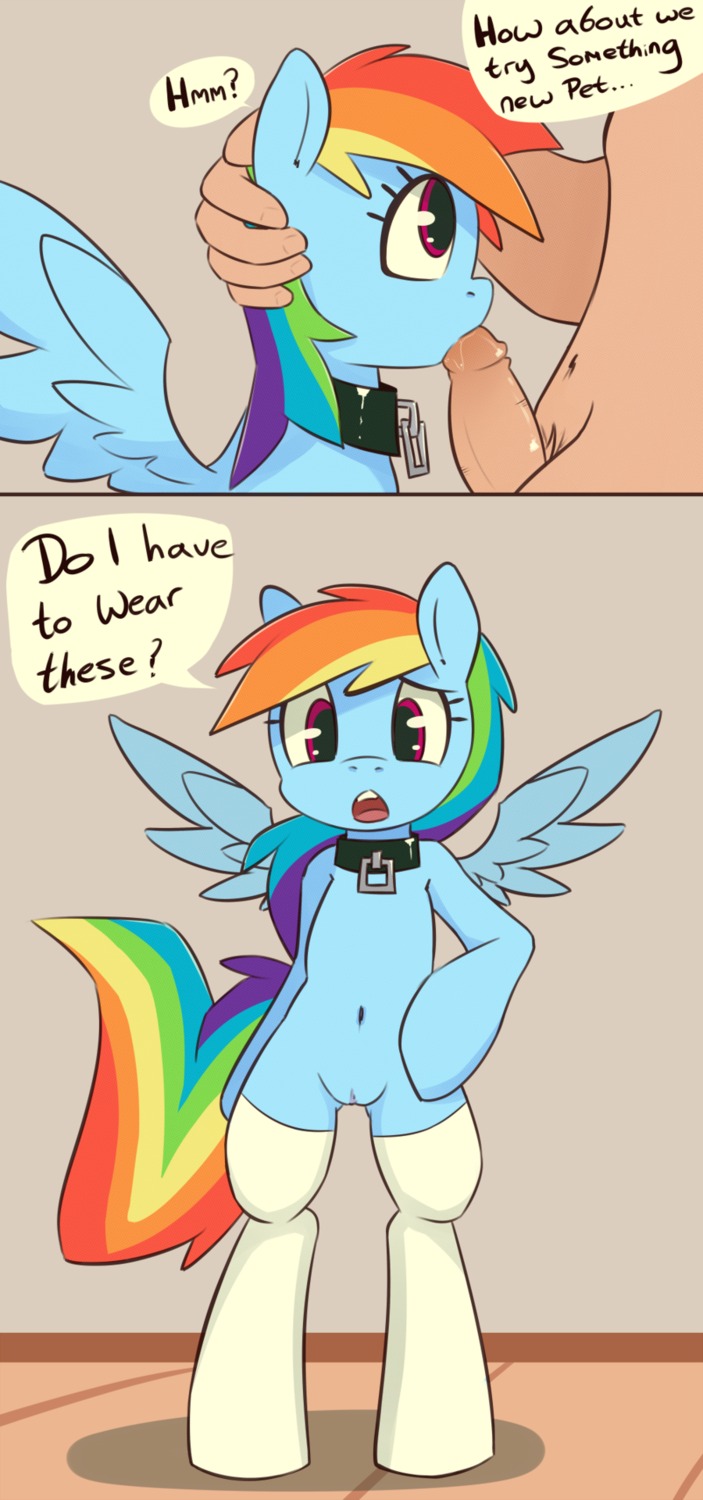 2012 bestiality blue_body blue_feathers blue_fur cloth clothing collar comic digital_media_(artwork) duo e621 english_text equid equine erection feathered_wings feathers fellatio female feral friendship_is_magic fur genitals grumblepluck hair hasbro hi_res human human_on_feral humanoid_genitalia humanoid_penis interspecies legwear long_hair looking_at_viewer male male/female male_human male_on_feral mammal multicolored_hair multicolored_tail my_little_pony mythological_creature mythological_equine mythology navel nude oral oral_penetration pegasus penetration penile penis purple_eyes rainbow_dash_(mlp) rainbow_hair rainbow_tail sex solo_focus standing stockings tail text thick_penis vulva wings