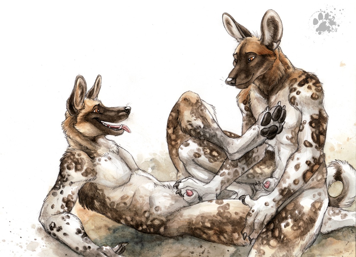 2008 african_wild_dog animal_genitalia animal_penis anthro anthro_on_anthro balls blotch brown_eyes canid canine canine_genitalia canine_penis canis claws domestic_dog duo e621 eye_contact finge_claws fur genitals hand_on_crotch looking_at_another male male/male mammal pawpads paws penis penis_tip scratches_volume_2 sheath spots tail toe_claws tongue traditional_media_(artwork)