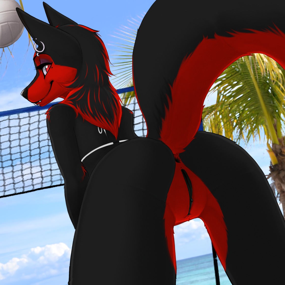 2013 anthro anus ball beach bent_over bikini biped black_anus black_body black_fur black_hair black_nose black_vulva bottomless bra butt canid canine canis clitoris clothed clothing cloud detailed_background digital_media_(artwork) dutch_angle e621 ear_piercing ear_ring eyebrow_piercing eyebrow_ring facial_piercing fangs female fur genitals hair lip_piercing lip_ring looking_at_viewer looking_back looking_back_at_viewer low-angle_view mammal markings mole_(marking) multicolored_body multicolored_fur multicolored_hair multiple_piercings net nnecgrau outside piercing presenting presenting_hindquarters presenting_vulva raised_tail rear_view red_body red_eyes red_fur red_hair ring_piercing seaside sky smile solo sport swimwear tail teeth thigh_gap topwear two-piece_swimsuit two_tone_body two_tone_fur two_tone_hair underwear volleyball volleyball_(ball) volleyball_net vulva white_clothing white_topwear white_underwear wolf zoe_(nnecgrau)