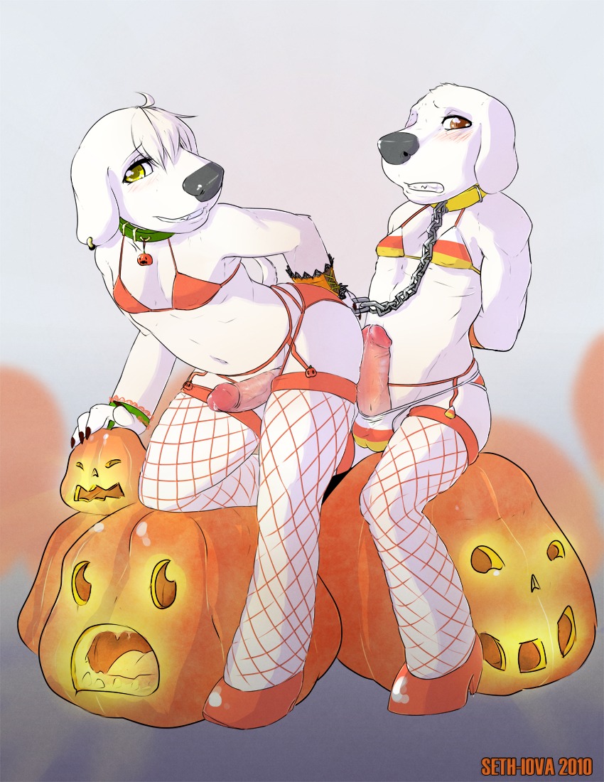 2010 anthro balls_in_underwear balls_outline bikini bikini_bottom bikini_top blush bodily_fluids brian_griffin bulge candy candy_corn candy_corn_bikini candy_corn_pattern canid canine canis clothed clothing costume cousins_(lore) crossdressing dessert detailed_bulge digital_media_(artwork) domestic_dog duo e621 erection family_guy femboy food food_bikini food_print footwear fruit genital_fluids genital_outline genitals halloween holidays humanoid_genitalia humanoid_penis incest_(lore) jack-o'-lantern jasper_(family_guy) legwear looking_at_viewer male male/male mammal nipple_outline penis penis_poking_out plant precum pumpkin red_eyes seth-iova sitting_on_pumpkin skimpy swimwear two-piece_swimsuit vein yellow_eyes
