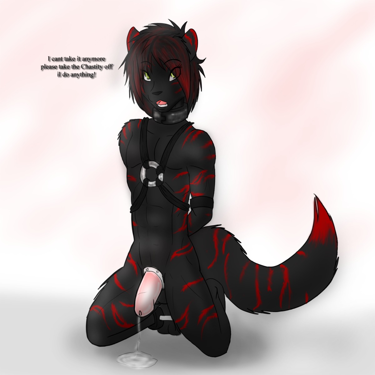 1:1 anthro bdsm begging bodily_fluids bondage bound canid canine chastity_cage chastity_device collar digital_media_(artwork) dripping e621 english_text erection genital_fluids genitals hair harness hi_res makarimorph male mammal nude penis phallic_chastity_device precum precum_drip precum_on_ground simple_background solid_chastity_cage solo submissive submissive_male tail text translucent translucent_chastity_cage wearing_chastity_cage wearing_chastity_device