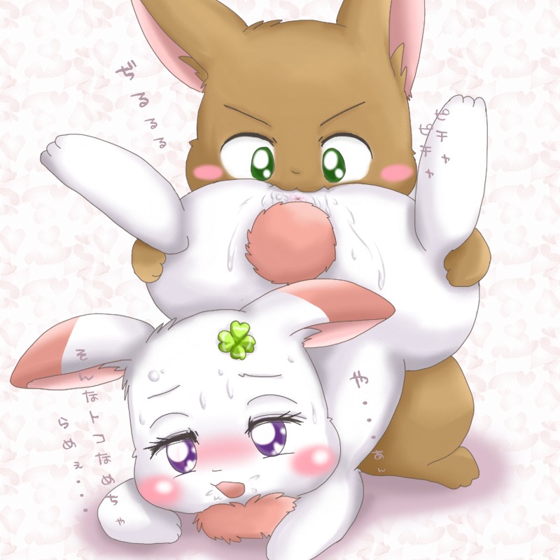 chima female gaku happy_happy_clover rule34 suvaru tagme