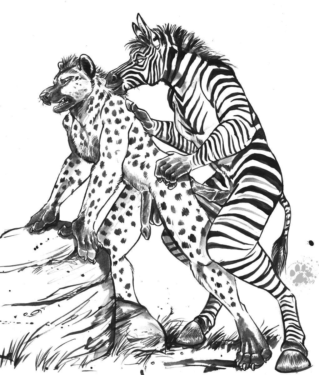 2009 anal anal_penetration anatomically_correct anatomically_correct_genitalia anatomically_correct_penis animal_genitalia animal_penis anthro balls blotch duo e621 equid equine equine_genitalia equine_penis erection eyes_closed flaccid fur genitals hi_res hooves hyaenid_penis hyena interspecies male male/male male_penetrated male_penetrating male_penetrating_male mammal monochrome nude open_mouth penetration penis predator/prey predator_penetrated prey_dom_predator_sub prey_penetrating prey_penetrating_predator rock scratches_volume_3 sex simple_background spotted_hyena stripes tail traditional_media_(artwork) white_background zebra