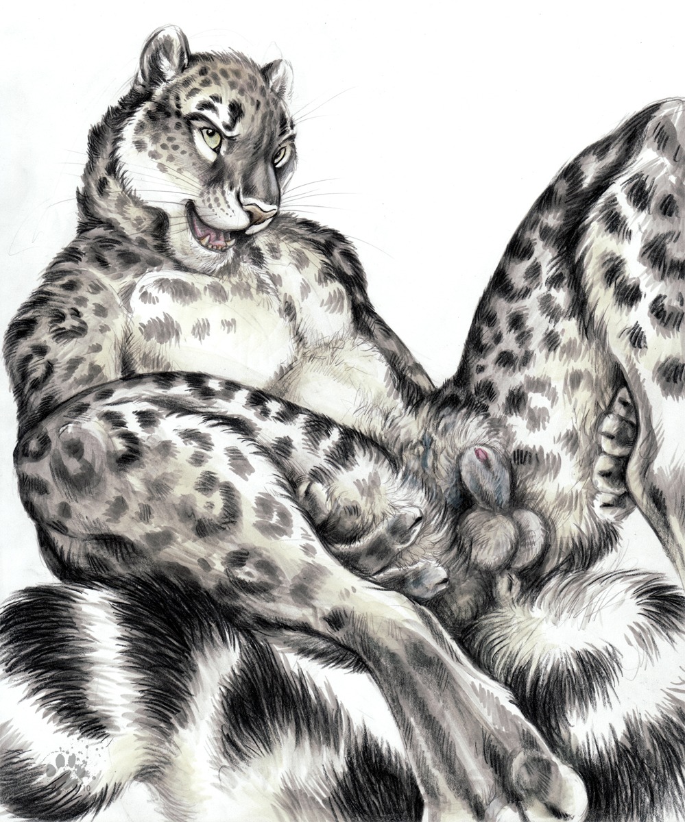 2010 animal_genitalia animal_penis anthro anus balls biped blotch e621 felid feline_genitalia feline_penis flaccid genitals hi_res leopard_spots looking_at_viewer lying male mammal on_back pantherine paws penis penis_tip presenting presenting_penis scratches_volume_4 sheath simple_background snow_leopard solo spots spread_legs spreading tail tail_anus traditional_media_(artwork) whiskers white_background white_balls white_body white_sheath