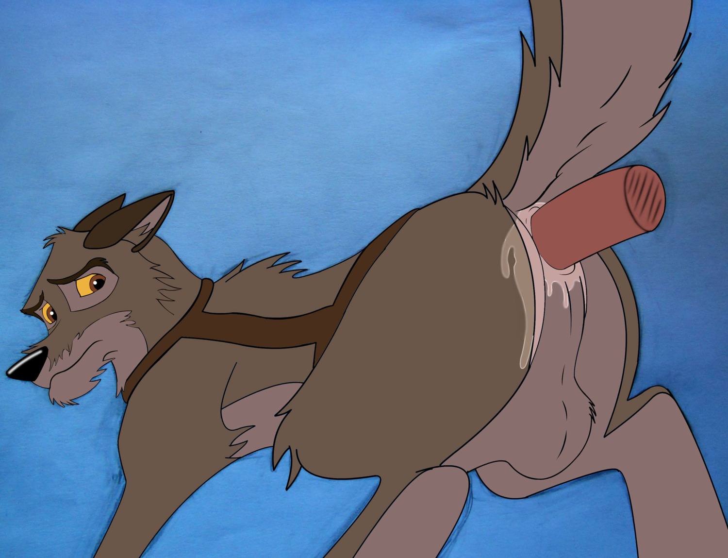 anal anal_penetration anus backsack balls balto balto_(series) bodily_fluids brown_hair butt canid canine canis cum cum_in_ass cum_inside disembodied_penis domestic_dog duo e621 erection feral genital_fluids genitals hair harness hi_res hybrid looking_back male male/male male_penetrated male_penetrating male_penetrating_male mammal nude penetration penis raised_tail sex spread_legs spreading tail tight_fit timberbone universal_studios wolf wolfdog yellow_eyes