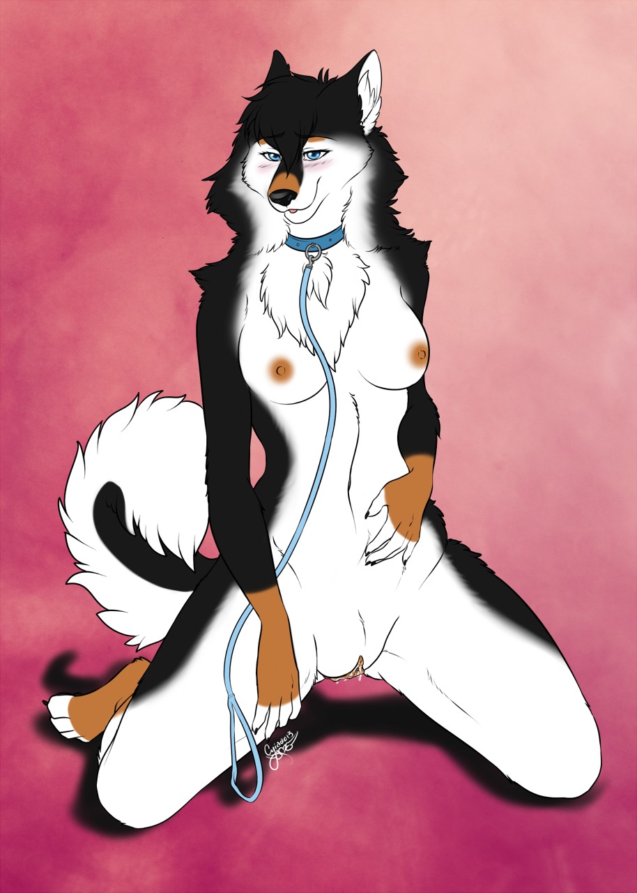 anthro areola biped blue_eyes blush bodily_fluids breasts canid canine canis chest_tuft clitoris collar cyiakanami domestic_dog e621 female fur genital_fluids genitals hi_res kneeling leash looking_at_viewer mammal mane navel nipples solo tuft vaginal_fluids vulva