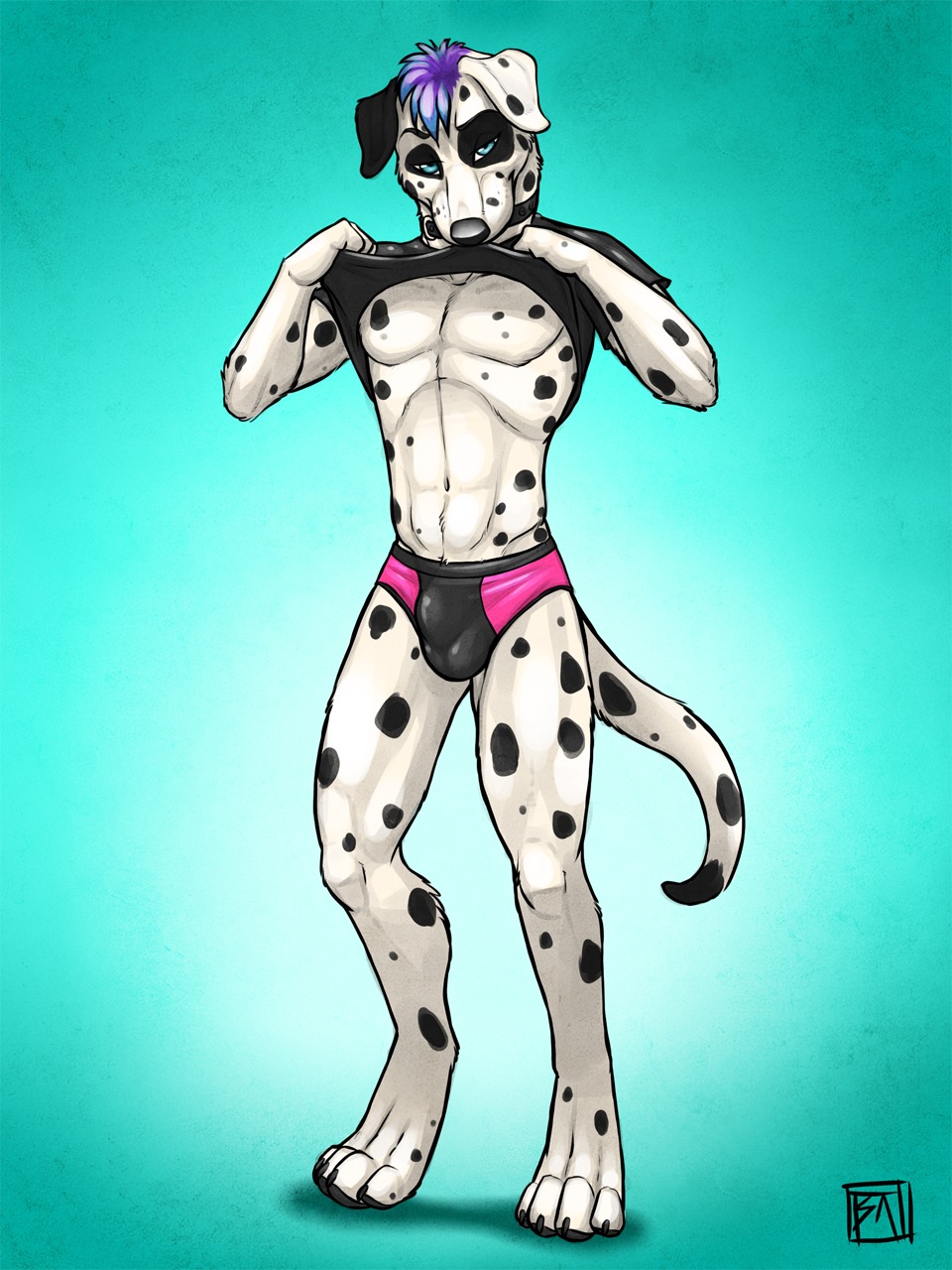 3:4 abs anthro athletic balls_outline biceps biped black_body black_briefs black_clothing black_fur black_nose black_spots black_underwear blue_eyes blue_hair briefs bulge canid canine canis clothed clothing clothing_lift collar dalmatian detailed_bulge digitigrade domestic_dog e621 fur genital_outline hair hi_res latex looking_at_viewer male mammal markings multicolored_hair muscular muscular_anthro pawnytail pecs pink_briefs pink_clothing pink_underwear purple_hair shirt shirt_lift solo spots spotted_body spotted_fur standing topless topwear tsaiwolf two_tone_hair underwear undressing white_body white_fur