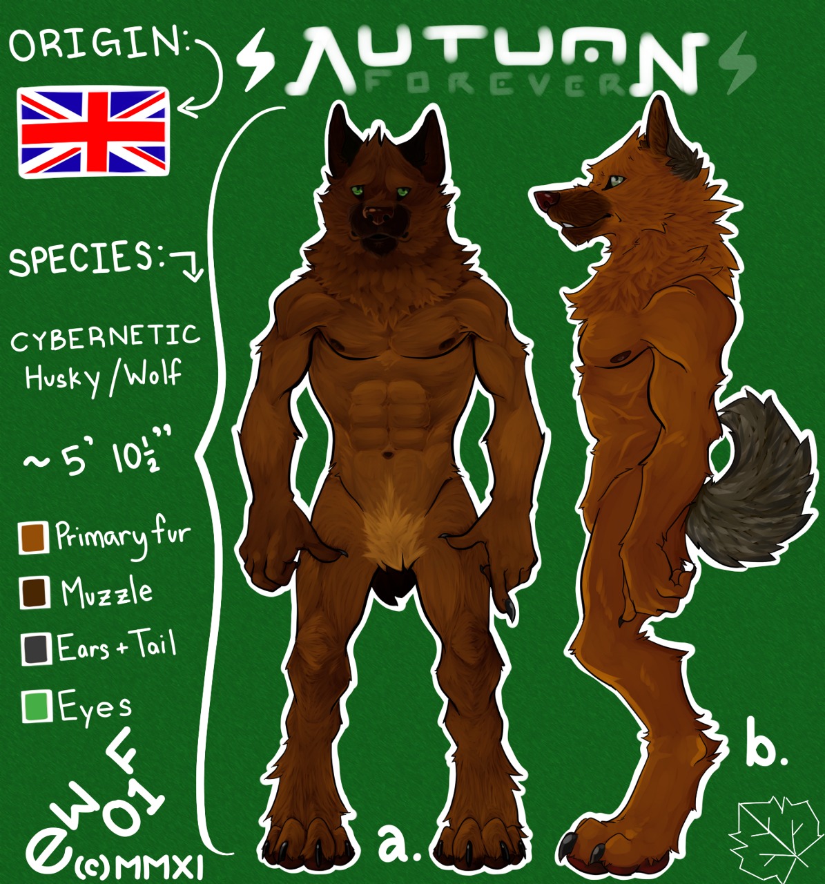 abs animal_genitalia animal_penis anthro athletic balls biceps biped brown_body brown_fur canid canine canine_genitalia canine_penis claws e-w01f e621 english_text fangs flaccid fluffy fluffy_tail fur genitals green_eyes grey_body grey_fur hi_res male mammal model_sheet muscular muscular_anthro nipples nude pecs penis pose sheath side_view solo standing tail teeth text toe_claws union_jack