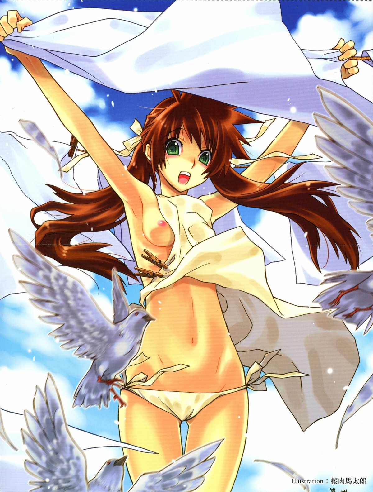 birds brown_hair cloud female green_eyes nipples open_mouth oppai panties rule34 sakuraniku_umatarou seagull tagme