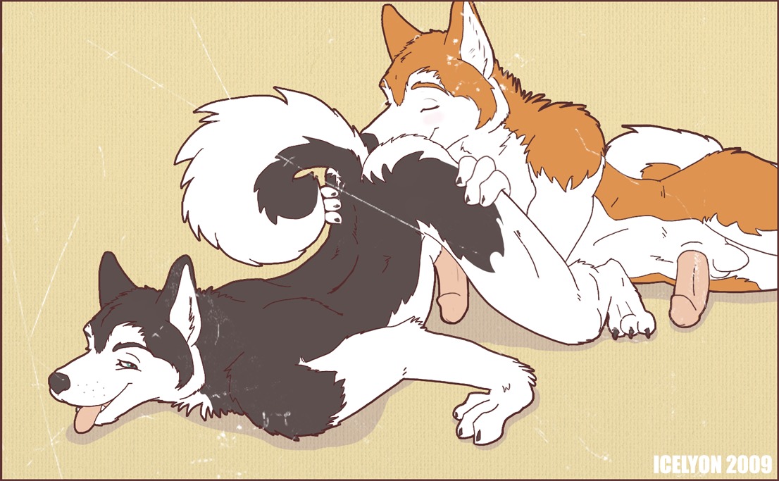 2009 anal animal_genitalia anthro ass_up balls blue_eyes canid canine canis domestic_dog duo e621 erection eyes_closed fangs from_behind_position fur genitals grey_body grey_fur hand_on_another's_butt hand_on_butt humanoid_genitalia humanoid_penis husky icelyon male male/male mammal nordic_sled_dog nude open_mouth oral penis pink_penis rimming sex sheath spitz teeth tongue tongue_out