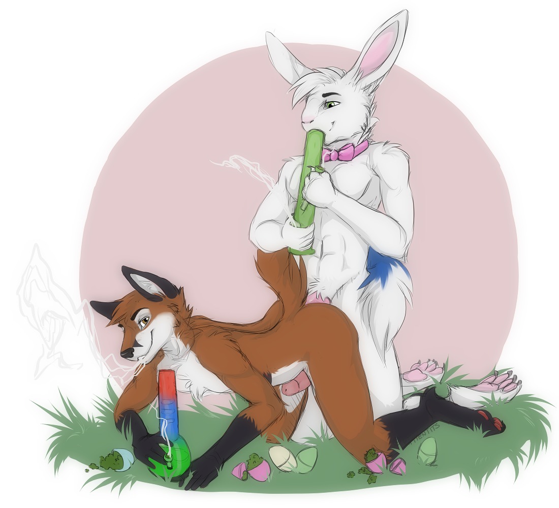 2014 all_fours anal anal_penetration anthro bong bow_(feature) bow_tie brown_eyes canid canine claws drugs duo e621 easter easter_bunny erection fox from_behind_position genitals gloves_(marking) green_eyes holidays humanoid_genitalia humanoid_penis inner_ear_fluff interspecies kittentits kneeling lagomorph leg_markings leporid looking_at_viewer luskfoxx male male/male male_penetrated male_penetrating male_penetrating_male mammal marijuana markings nude outside pawpads penetration penis predator/prey rabbit raised_tail red_fox sex smoke smoking socks_(marking) tail toe_claws true_fox tuft
