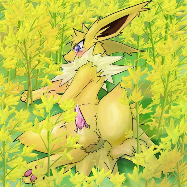 1:1 3_toes anus balls black_nose blue_eyes blush bodily_fluids butt canid canine chest_tuft cum dark_nose dark_pupils e621 eeveelution erection feet fenikusu feral flower_field fur generation_1_pokemon genital_fluids genitals iris jolteon knot light_balls light_body light_ears light_face light_fur light_paws lying male mammal monotone_face neck_tuft nintendo nude on_ground on_side pawpads paws penis pink_pawpads pink_penis plant pokemon pokemon_(species) precum pupils quadruped simple_background small_anus small_nose solo spread_legs spreading tapering_penis tears toes tuft yellow_anus yellow_balls yellow_body yellow_ears yellow_face yellow_fur yellow_paws
