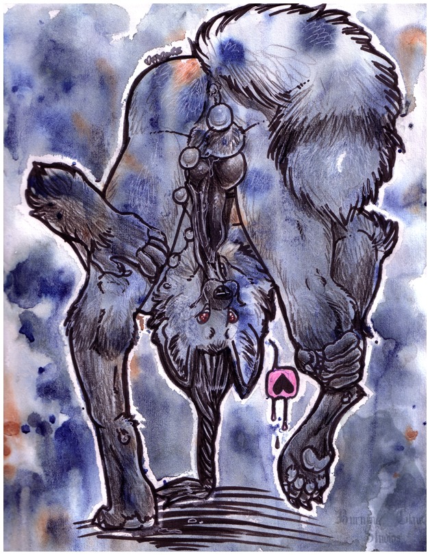 2007 anal anal_penetration animal_genitalia animal_penis anthro balls beads butt canid canine canine_genitalia canine_penis e621 erection farorenightclaw genitals heart_symbol knot male mammal nude penetration penis solo tail tymbre