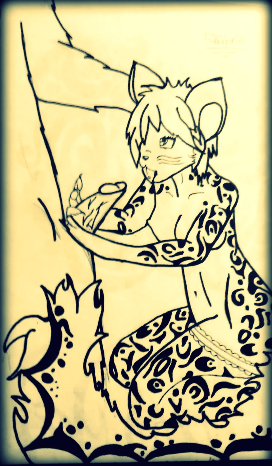 absurd_res anthro calabris domestic_cat duo e621 erection felid feline felis fellatio female genitals hi_res kneeling leopard looking_up male male/female mammal nude oral pantherine penile penis piercing sex snow_leopard tail tongue tongue_piercing tribal unknown_artist