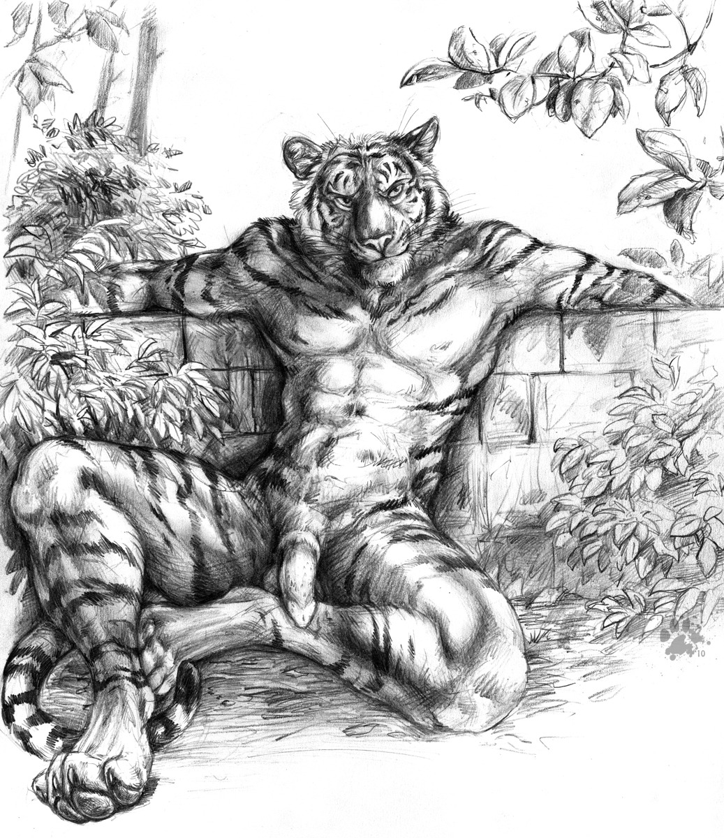 2010 abs animal_genitalia anthro balls biped blotch brick brick_wall claws e621 erection feet felid flaccid genitals greyscale hi_res hindpaw leaf looking_at_viewer low_wall male mammal monochrome muscular muscular_anthro muscular_male nude outside pantherine pawpads paws penile_spines penis plant presenting resting scratches_volume_4 sitting solo spread_legs spreading stripes tiger toe_claws traditional_media_(artwork) wall_(structure) whiskers
