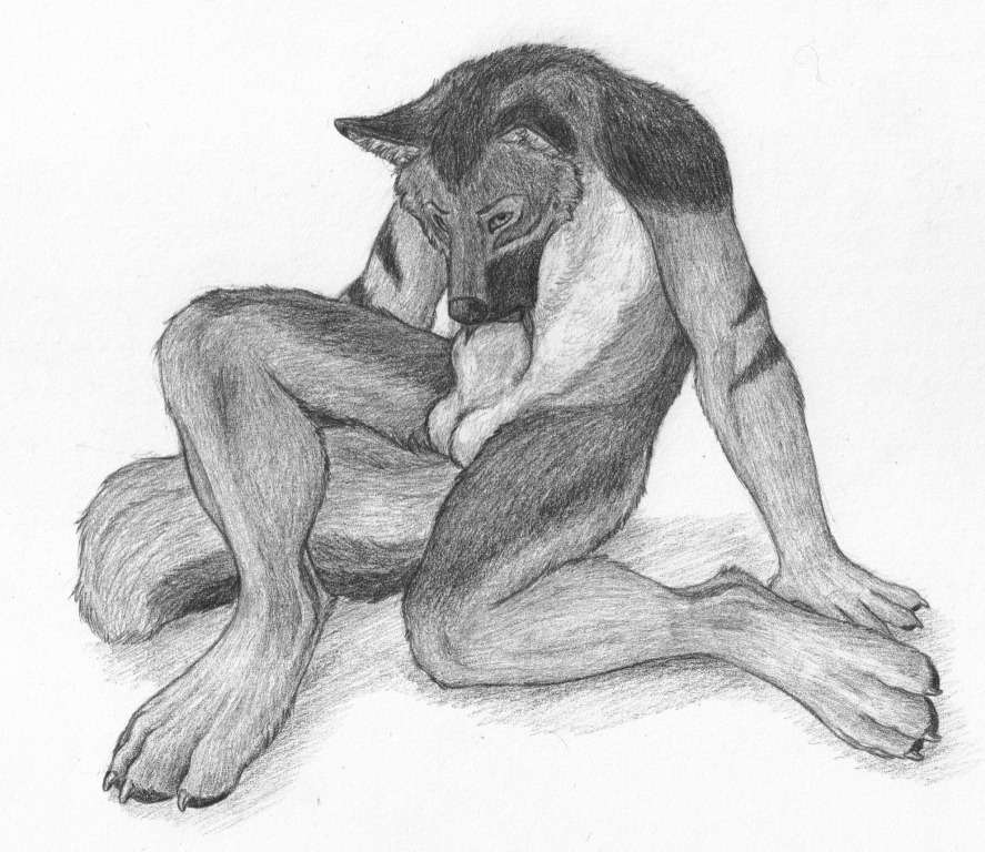 4_toes animal_genitalia anthro autofellatio balls biped canid canine canis e621 erection feet genitals greyscale honourwolf looking_at_viewer male mammal masturbation monochrome nude oral oral_masturbation oral_penetration penetration penile penile_masturbation penis sheath simple_background solo toes traditional_media_(artwork) white_background wolf
