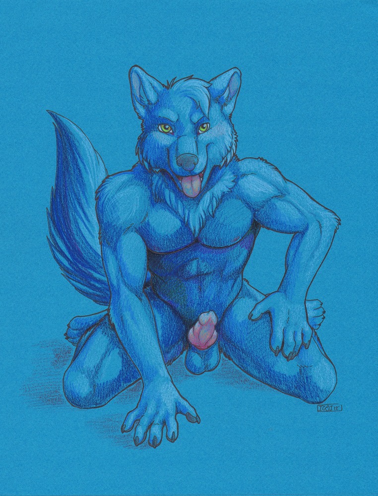 animal_genitalia animal_penis anthro balls canid canine canine_genitalia canine_penis canis e621 erection genitals iggi knot looking_at_viewer male mammal muscular muscular_anthro muscular_male nude open_mouth penis solo tail tongue wolf