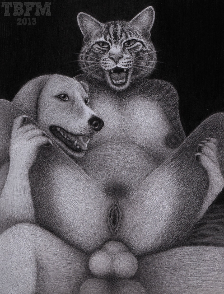 2013 anal anal_penetration anthro balls breasts canid canine canis domestic_cat domestic_dog duo e621 erection felid feline felis female female_penetrated genitals greyscale hi_res knot male male/female male_penetrating male_penetrating_female mammal monochrome nipples nude open_mouth pawpads paws penetration penis sex spread_legs spreading tbfm tommy_(tbfm) vulva whiskers