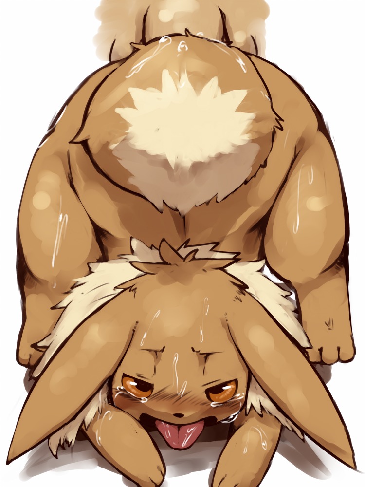 3:4 ambiguous_feral ambiguous_focus ambiguous_gender ambiguous_on_human anal anal_penetration balls bestiality blush bodily_fluids brown_body brown_eyes brown_fur canid canine dagasi digital_media_(artwork) duo e621 eevee erection eye_roll faceless_character faceless_male feral from_behind_position fur generation_1_pokemon genitals human human_on_feral interspecies lying male male_human male_on_feral mammal nintendo nude on_front open_mouth paws penetration penis pokemon pokemon_(species) pokephilia questionable_consent sex simple_background solo_focus sweat tears tongue tongue_out white_background white_body white_fur