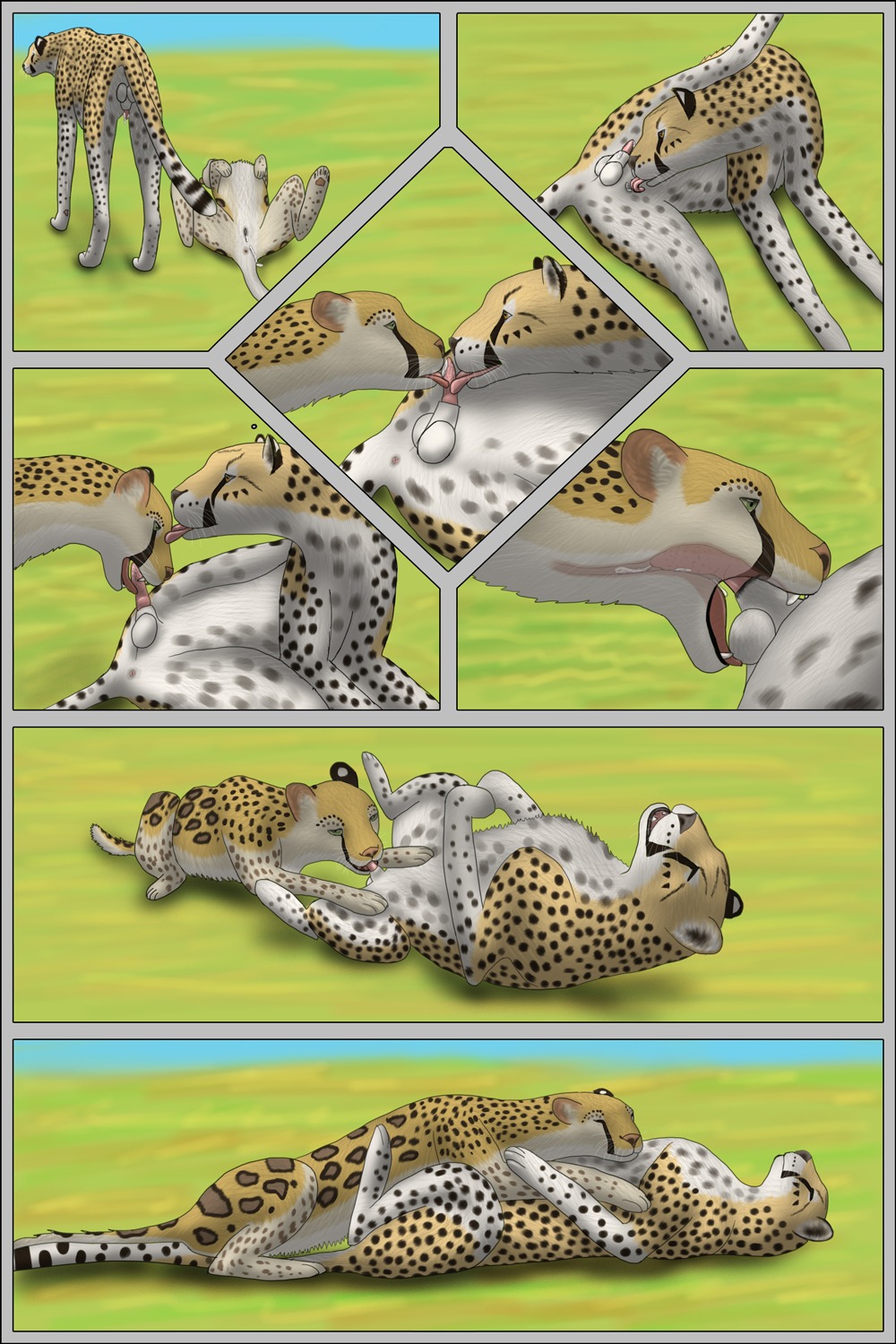 2:3 after_sex animal_genitalia ball_lick balls black_border black_sheath_slit bodily_fluids border cheepard cheetah collaborative collaborative_fellatio collaborative_oral collaborative_sex cum cum_in_mouth cum_in_vagina cum_inside duo e621 erection eyes_closed felid feline fellatio female female_penetrated feral feral_on_feral genital_fluids genitals hi_res hybrid internal internal_oral leopard licking male male/female male_penetrating male_penetrating_female mammal oral oral_penetration pantherine penetration penile penile_spines penis penis_lick penis_tip sex sheath sheath_slit snow_leopard tongue tongue_out vaginal