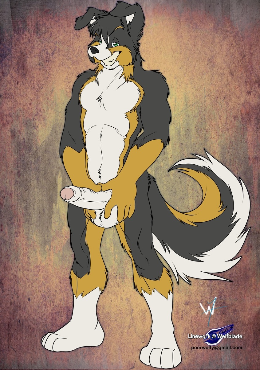 anthro big border_collie canine foreskin fur furry male male_only ora penis pinup rule34 uncircumcised uncut