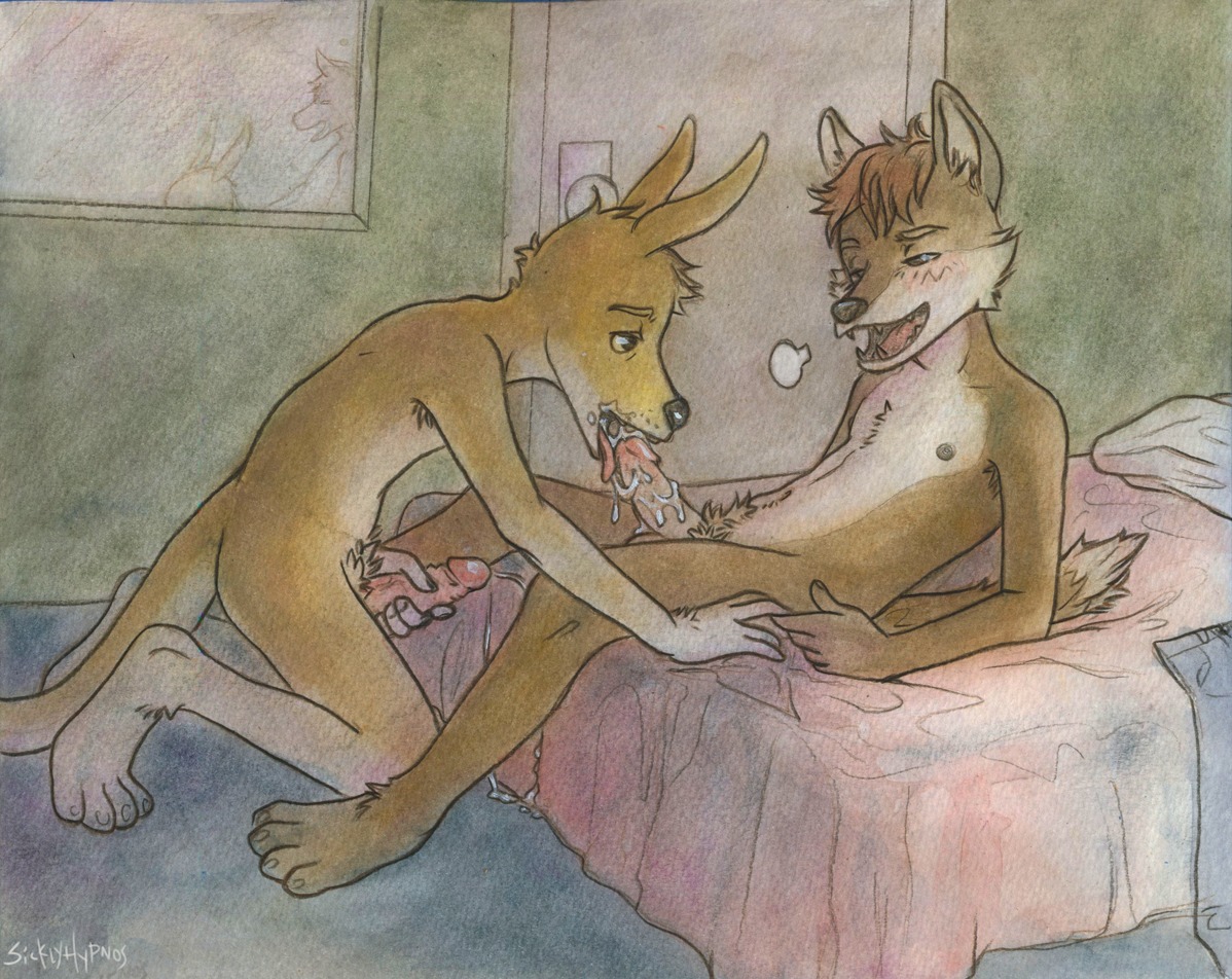 anthro armpit_hair balls bodily_fluids body_hair canid canine canis chest_tuft coyote cum cum_in_mouth cum_inside cumshot duo e621 ejaculation erection foreskin genital_fluids genitals hairy_feet hand_holding humanoid_genitalia humanoid_penis kangaroo kirron_(character) licking macropod male male/male male_penetrated male_penetrating male_penetrating_male mammal marsupial masturbation nude oral orgasm painting_(artwork) penetration penile penile_masturbation penis pubes realistic_penis_size retracted_foreskin roko sex sicklyhypnos tongue tongue_out traditional_media_(artwork) traditional_painting_(artwork) traditional_watercolor_(artwork) tuft vein watercolor_(artwork)