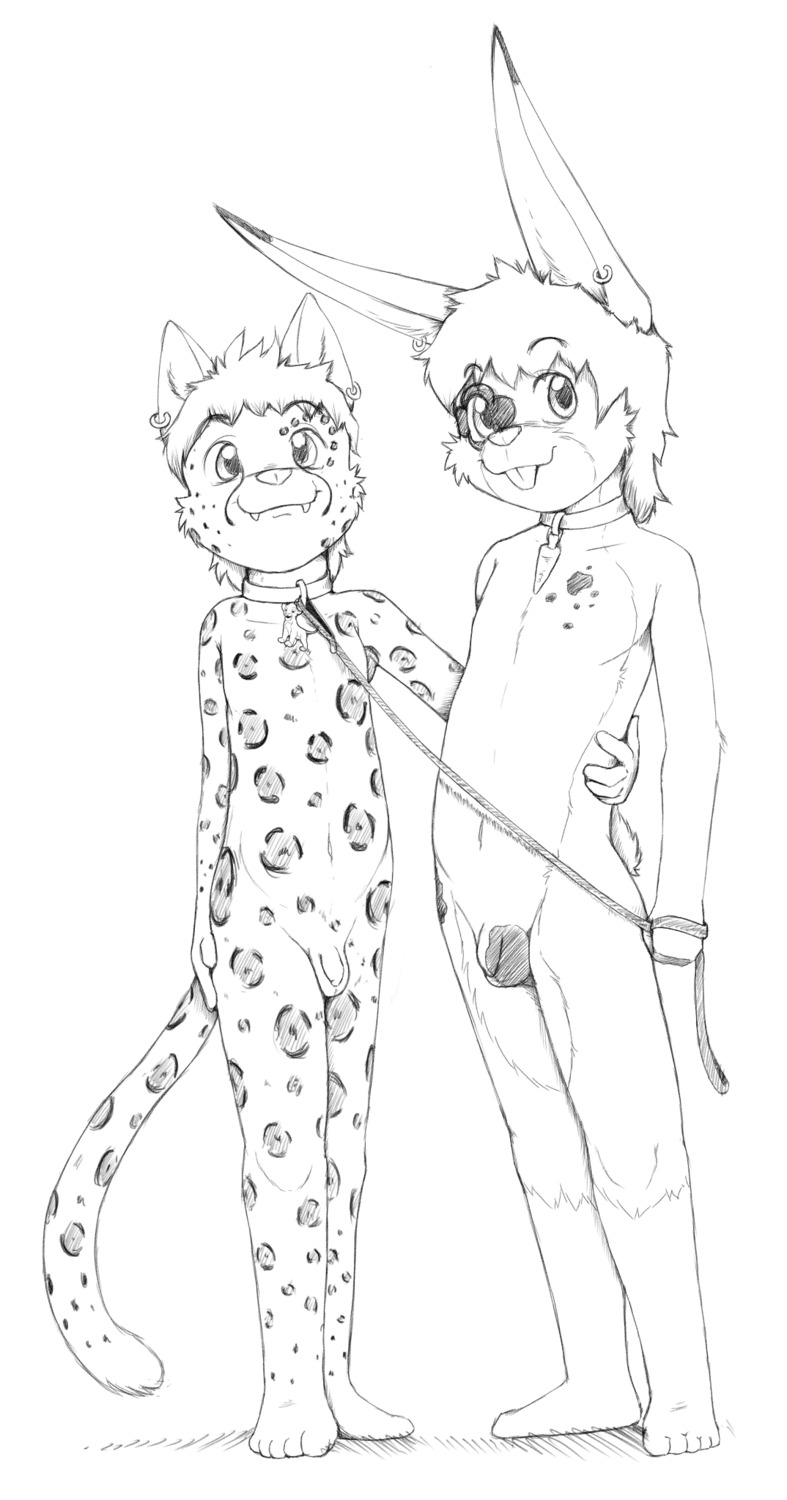 5_fingers 5_toes anthro arkaid balls buckteeth collar domestic_cat duo e621 fangs feet felid feline felis fingers flaccid foreskin front_view genitals greyscale hair hand_on_hip hi_res holding_leash holding_object humanoid_genitalia humanoid_penis inner_ear_fluff leash long_ears looking_at_viewer male mammal monochrome nude penis rodent short_hair simple_background smile spots standing tail teeth toes tuft white_background young young_anthro young_male young_on_young