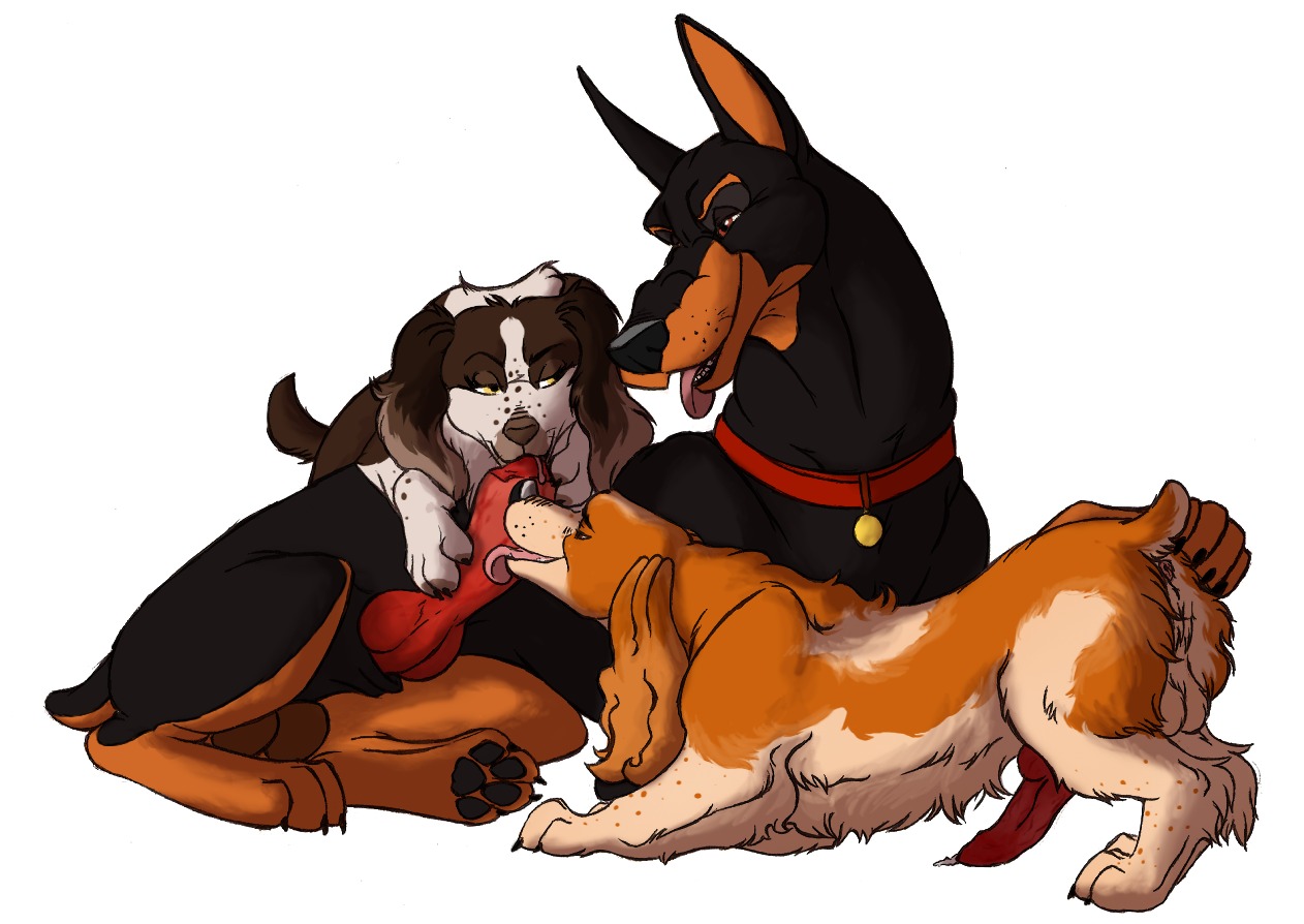 anatomically_correct animal_genitalia animal_penis anus balls bird_dog canid canine canine_genitalia canine_penis canis collar digital_drawing_(artwork) digital_media_(artwork) digitigrade dobermann domestic_dog e621 erection feet fellatio feral floppy_ears fur genitals group group_sex hindpaw hunting_dog klaus_doberman klaus_doberman_(character) knot licking male male/male male_penetrated male_penetrating male_penetrating_male mammal marjani oral paws penetration penile penis penis_lick pinscher quadruped sex simple_background spaniel tail threesome tongue tongue_out trio welsh_springer_spaniel white_background