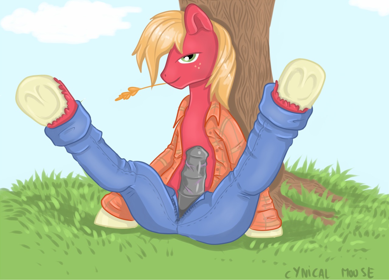 2012 animal_genitalia animal_penis big_macintosh_(mlp) blonde_hair chewing chewing_grass clothing cloud cynicalmoose e621 earth_pony equid equine equine_genitalia equine_penis erection feral freckles friendship_is_magic fur genitals green_eyes hair hasbro horse legs_up looking_at_viewer male mammal mouth_hold my_little_pony object_in_mouth outside penis plant pony red_body red_fur sky solo spread_legs spreading tree wheat