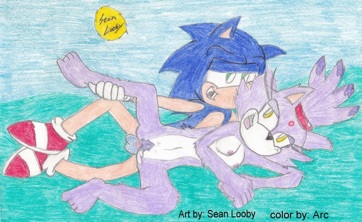 anthro blaze_the_cat blue_fur cat color female fur furry hedgehog interspecies lying male nude on_side purple_fur pussy rule34 sega sex sonic_(series) sonic_the_hedgehog sonic_the_hedgehog_(series) tagme vaginal_penetration