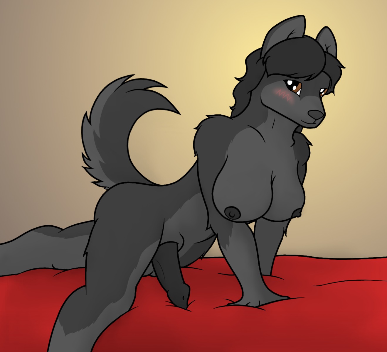 2013 all_fours anthro areola balls bed big_breasts biped black_body black_fur black_hair black_penis blush breasts brown_eyes canid canine canis domestic_dog e621 erection fur furniture genitals grey_body grey_fur gynomorph hair hi_res husky intersex looking_at_viewer lordbiscuits mammal nordic_sled_dog nude penis simple_background solo spitz
