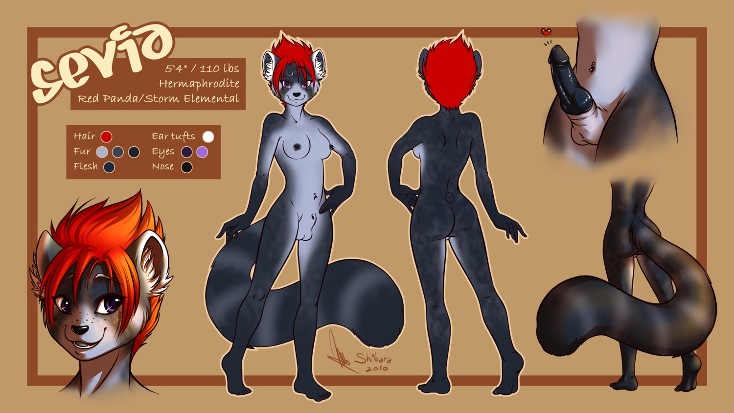 2010 abstract_background absurd_res ailurid animal_genitalia animal_penis anthro balls biped black_penis breasts butt canine_genitalia canine_penis e621 english_text erection eyebrows freckles fully_sheathed genitals glans grey_body gynomorph hair heart_symbol hi_res intersex knot mammal markings mismatched_animal_genitalia mismatched_animal_penis mismatched_genitalia mismatched_penis model_sheet navel navel_piercing nipple_piercing nipples nude penis piercing purple_eyes red_hair red_panda ring_(marking) ringed_tail sevia sheath shibara short_hair simple_background solo striped_markings striped_tail stripes tail tail_markings text