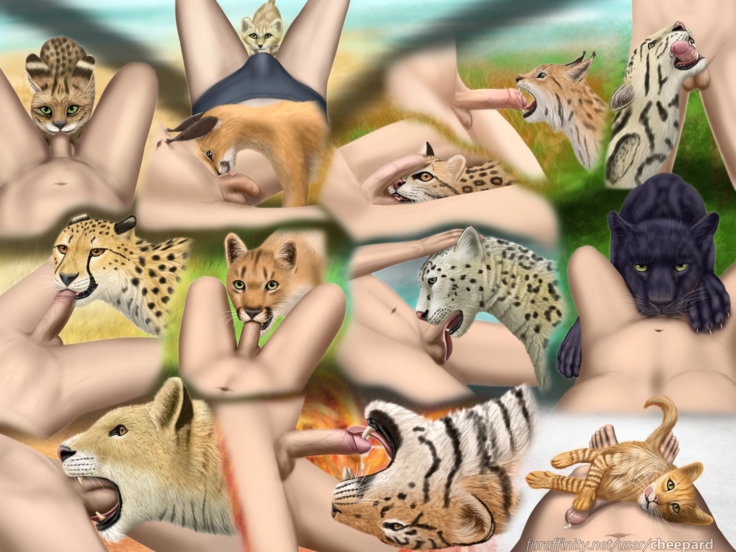 4:3 ambiguous_gender ambiguous_on_human ball_lick balls ballsurfing bestiality bodily_fluids bulge caracal caracal_(genus) cheepard cheetah clouded_leopard cock_and_balls_blowjob cougar cum deep_throat digital_media_(artwork) domestic_cat duo e621 erection faceless_character faceless_male felid feline felis fellatio feral foreskin fur genital_danger_play genital_fluids genitals glans hi_res human human_on_feral humanoid_genitalia humanoid_penis interspecies leopard leopardus licking lion lynx male male_on_feral mammal melanistic multiple_images ocelot oral oral_penetration pantherine partially_retracted_foreskin penetration penile penis penis_bite penis_in_mouth penis_lick realistic_feral retracted_foreskin sand_cat serval sex sideways_oral snow_leopard text tiger tongue tongue_out tongue_out_fellatio unretracted_foreskin url