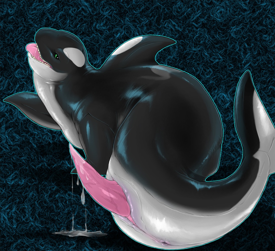 animal_genitalia animal_penis anus aquatic bad_dragon bodily_fluids cetacean cetacean_genitalia cetacean_penis dolphin e621 erection feral genital_fluids genitals green_eyes looking_at_viewer male mammal narse nude oceanic_dolphin official_art open_mouth orca penis precum saliva solo tapering_penis the_orkin_(bad_dragon) tongue tongue_out toothed_whale