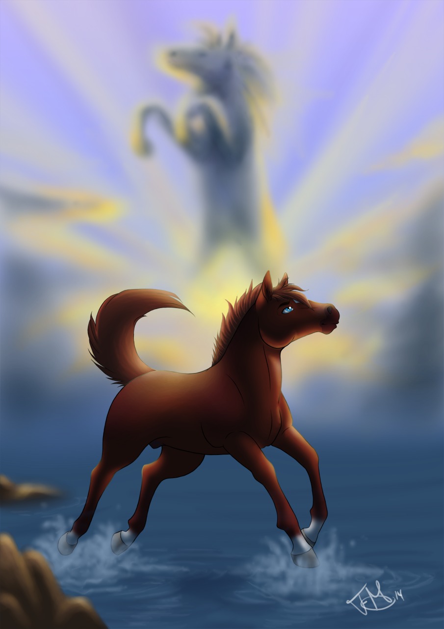 2014 animal_genitalia blue_eyes e621 equid equine eyebrows feral feralmoonlight genitals hair hi_res hooves horse looking_up male mammal on_hind_legs outside quadruped rainstorm_(marefurryfan) raised_tail sheath sky solo tail water