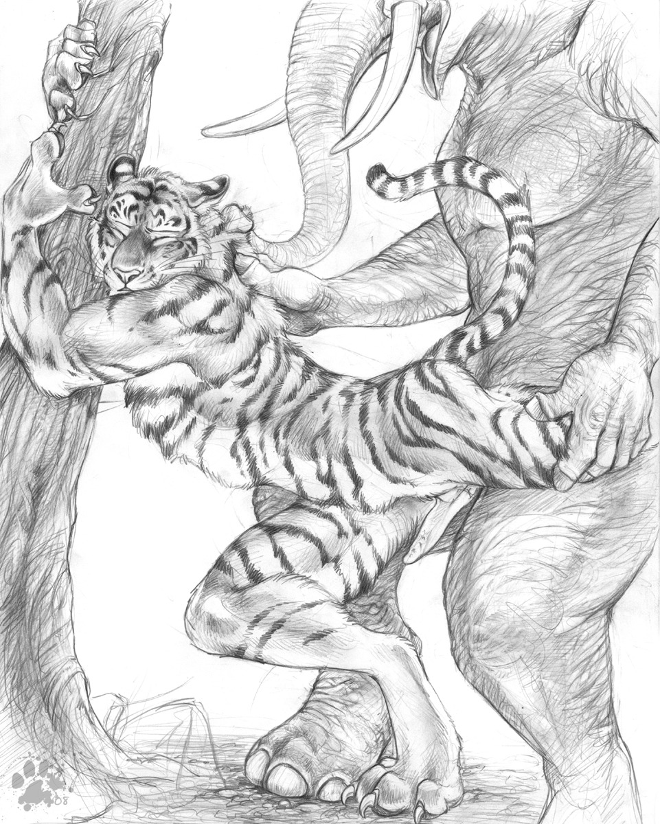 2008 anal animal_genitalia anthro anthro_on_anthro blotch claws dominant duo e621 elephant elephantid erection felid finger_claws fur genitals hi_res interspecies larger_dom larger_male male male/male male_penetrated male_penetrating male_penetrating_male mammal monochrome pantherine penetration penile_spines penis plant predator/prey proboscidean proboscis_(anatomy) scratches_volume_2 sex simple_background size_difference smaller_male smaller_penetrated stripes tail tiger toe_claws traditional_media_(artwork) tree trunk_(anatomy) tusks whiskers white_background