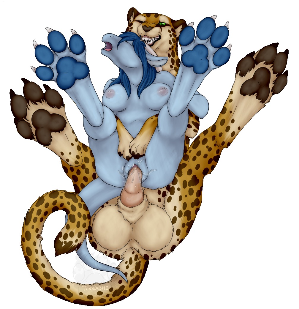 4_toes anthro anthro_on_feral anthro_penetrated balls bent_spoon_position bestiality big_balls blue_hair bodily_fluids breasts cheetah claws digitigrade dragon duo e621 erection eyes_closed feet felid feline female female_penetrated feral feral_penetrating feral_penetrating_anthro foot_focus from_behind_position genital_fluids genitals green_eyes hair hindpaw horn huge_balls hyper hyper_balls hyper_genitalia interspecies male male/female male_penetrating male_penetrating_female mammal mythological_creature mythological_scalie mythology nipples nude one_eye_closed pawpads paws penetration penile penile_penetration penis penis_in_vagina scalie sera_(sera) sex simple_background tail toe_claws toes toradoshi vaginal vaginal_fluids vaginal_penetration vulva white_background
