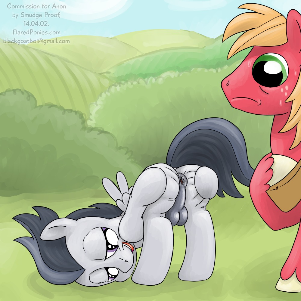1:1 2014 age_difference all_fours anus backsack balls bent_over big_macintosh_(mlp) bodily_fluids butt cloud digital_media_(artwork) duo e621 earth_pony equid equine feathered_wings feathers feral friendship_is_magic frown fur genitals grey_body grey_feathers hair half-closed_eyes hand_on_butt happy hasbro hooves horse looking_at_anus looking_back looking_down looking_up male male/male mammal my_little_pony mythological_creature mythological_equine mythology narrowed_eyes older_male outside pegasus pony presenting presenting_hindquarters rumble_(mlp) short_hair shota size_difference sky smile smudge_proof spread_butt spread_legs spreading standing submissive submissive_male sweat teeth tongue tongue_out wings young young_feral younger_male