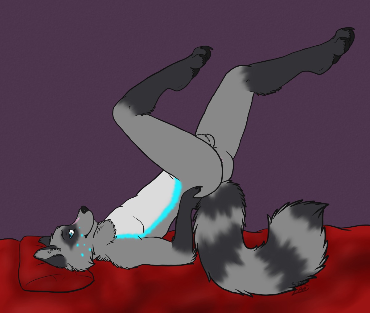 2013 anthro anus backsack balls bed biped blue_eyes butt e621 furniture genitals legs_up looking_at_viewer lying male mammal nightcoon nude on_back presenting procyonid purple_background raccoon silia simple_background solo teasing
